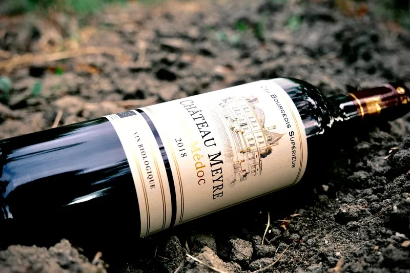 Bouteille de Château Meyre mise en scène avec des raisins.