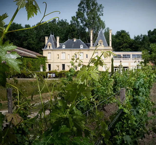 Façade du Château Meyre à Avensan vue à travers les rangs de vigne.