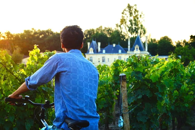 Cycliste dans les rangs de vigne face au Château Meyre.