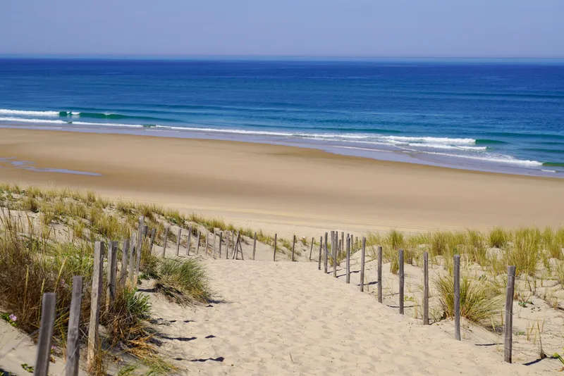 Chemin entre les dunes menant à une plage face à l’océan.