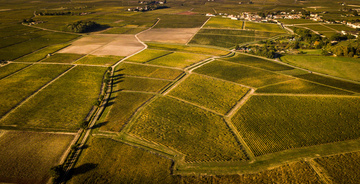 Pauillac Médoc