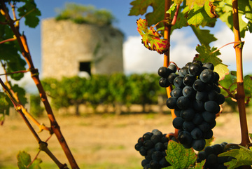 Other destinations close to the Médoc