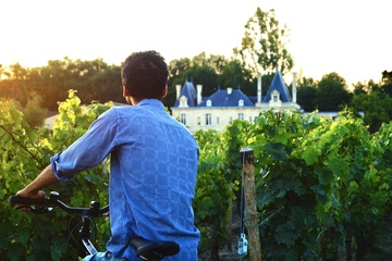 Le vignoble à vélo