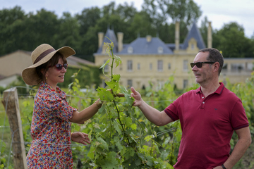visite de vignoble en Gironde